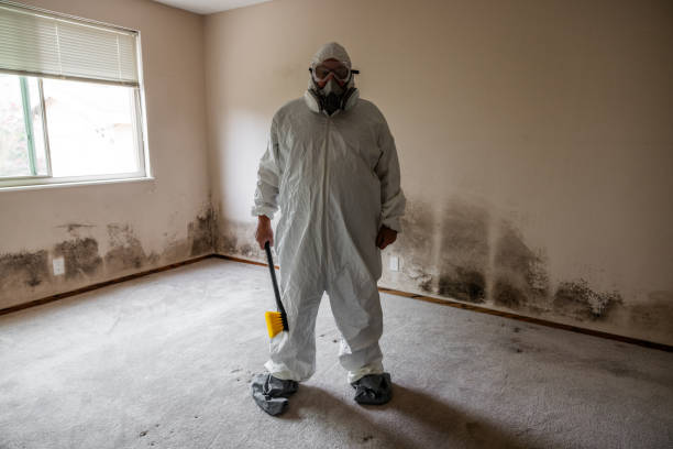 Best Mold Cleaning Services  in Forest City, PA